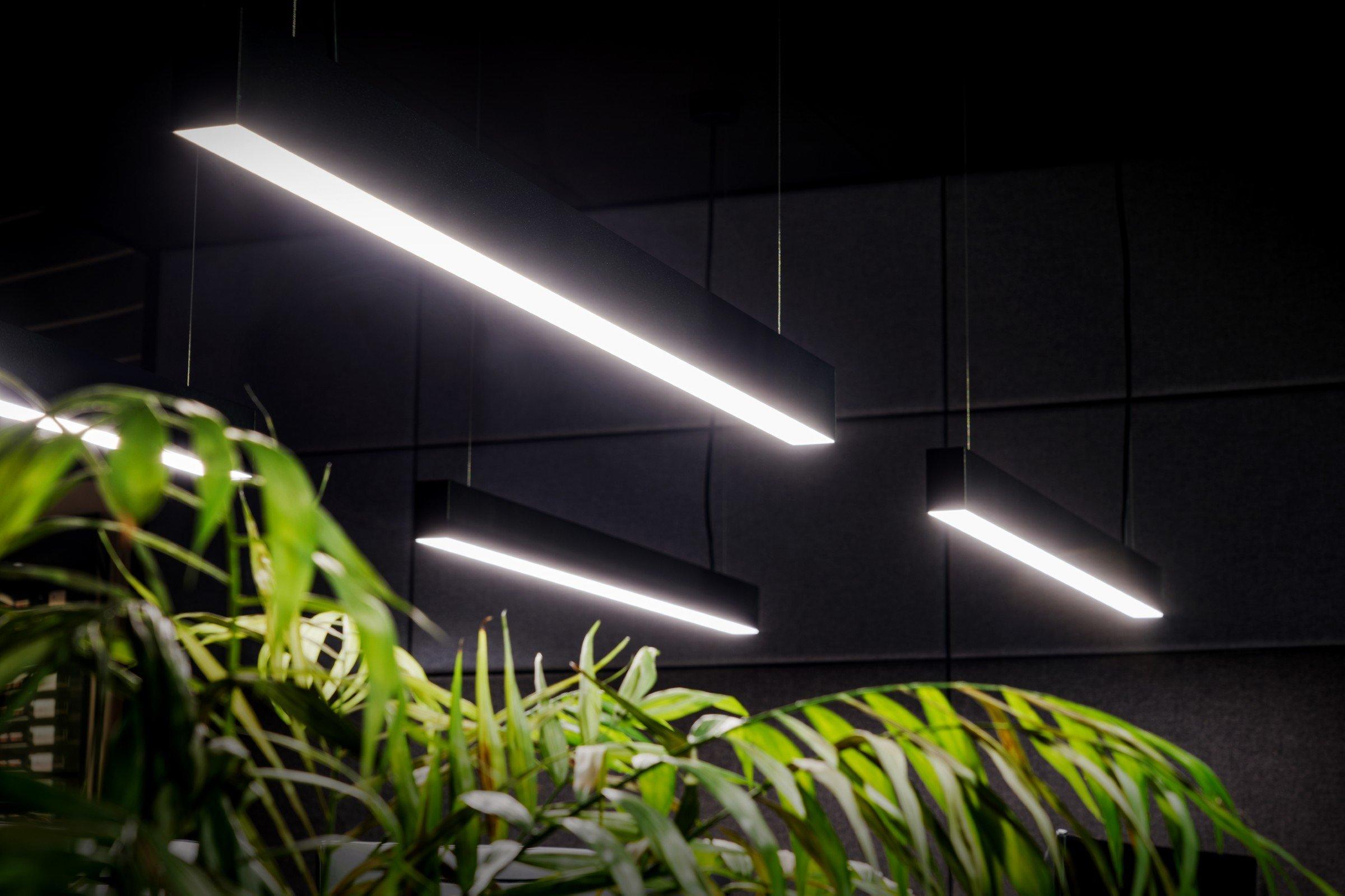 Lichtlijnen boven planten