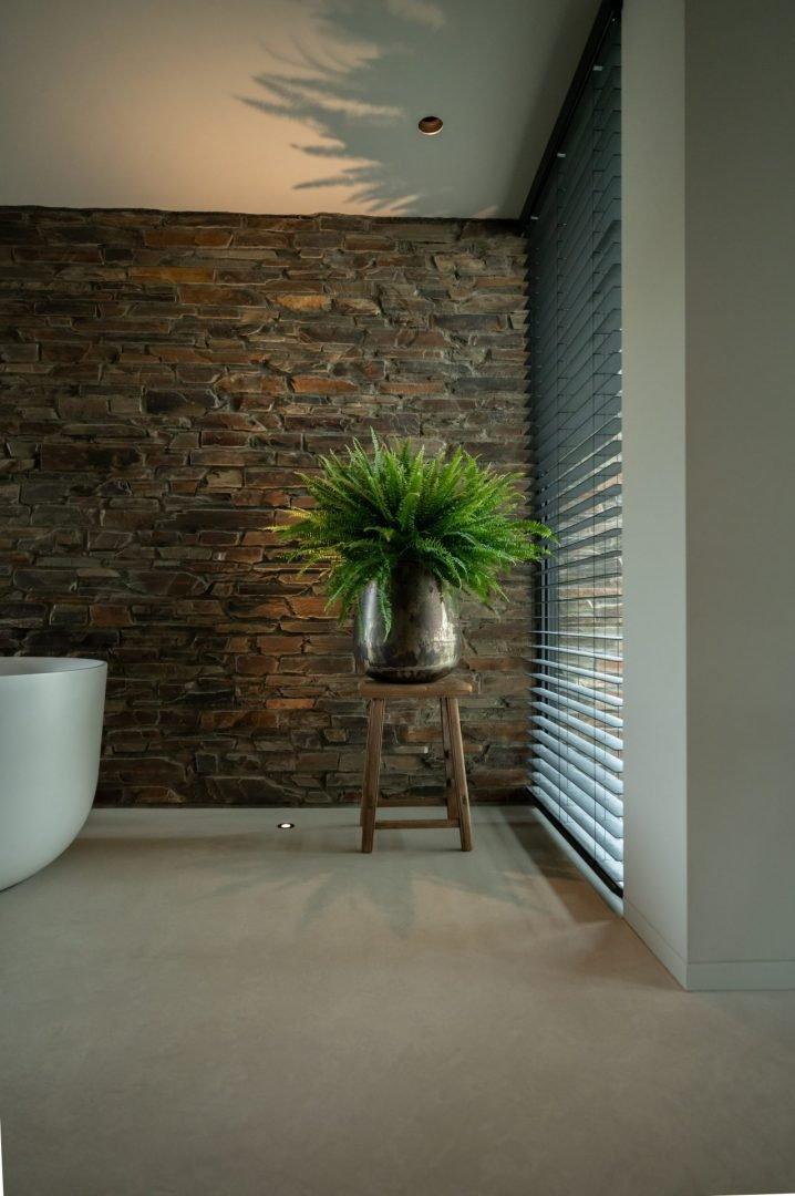 Natuursteen wand met plant in strijklicht